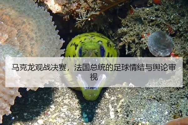 马克龙观战决赛，法国总统的足球情结与舆论审视